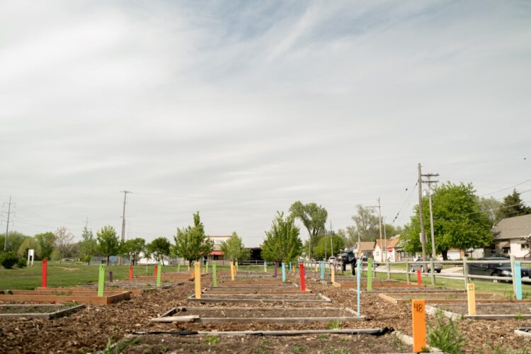 Building a Green Community on a Suburban Street